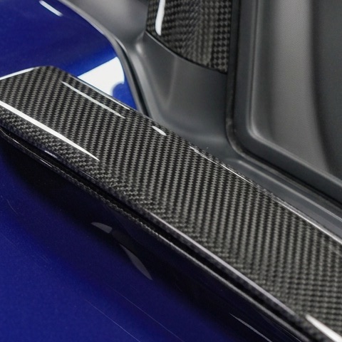 Carbon exterior panel detail